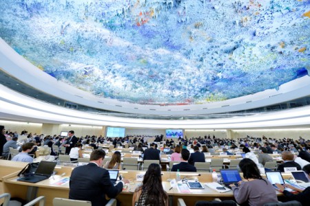 Human Rights Council